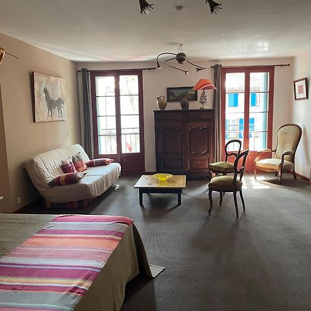 Hotel Vidal Céret Zewnętrze zdjęcie