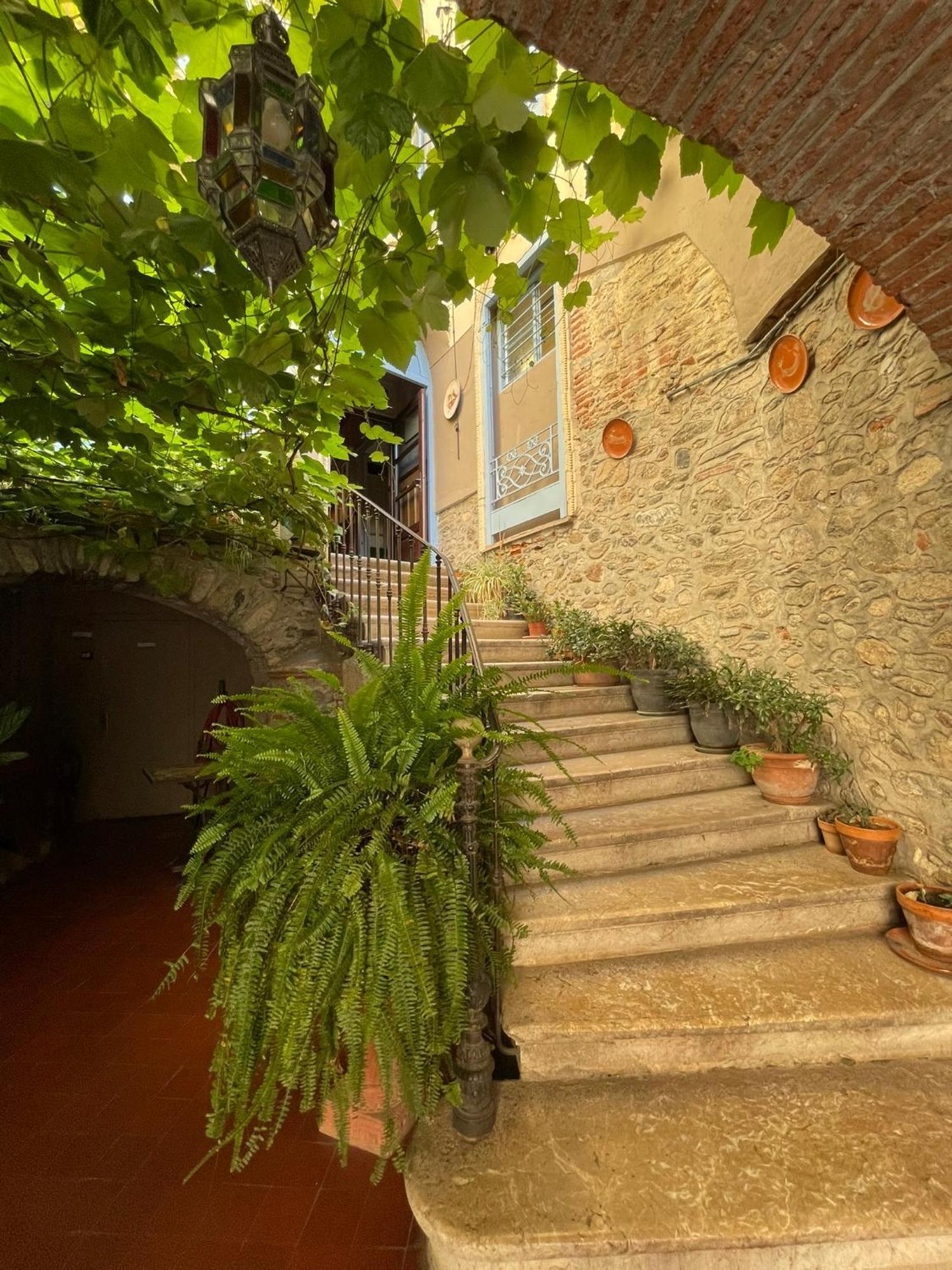 Hotel Vidal Céret Zewnętrze zdjęcie