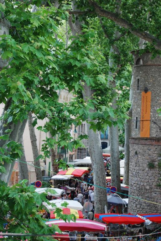 Hotel Vidal Céret Zewnętrze zdjęcie